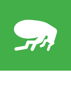 White vector graphic of a flea on a green background.